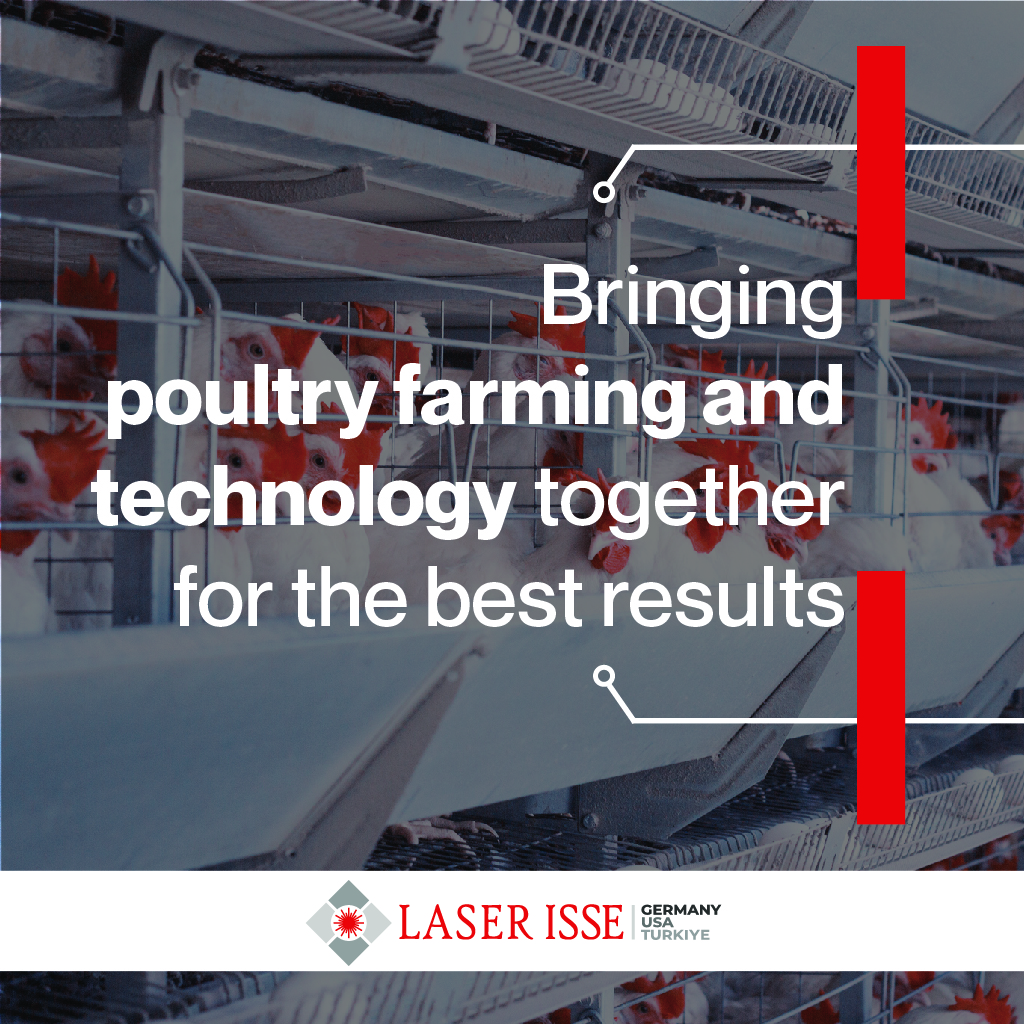 poultry farming 01